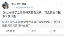 博君一肖可以免费吃瓜吗